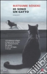 Soseki Natsume