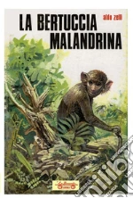 Zelli Aldo