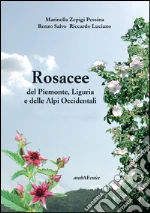 Zepigi Pessina Marinella; Luciano Riccardo; Salvo Renzo