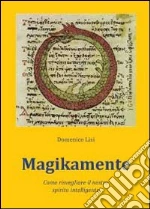 Lisi Domenico