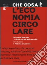 Bompan Emanuele; Brambilla Ilaria Nicoletta