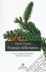 Thoma Erwin