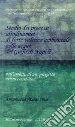Nisi M. Antonietta