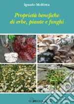 Molfetta Iganzio
