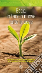 Innocente F. (cur.)