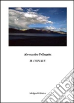 Pellegatta Alessandro
