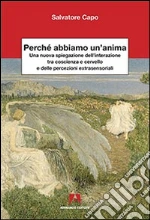Capo Salvatore