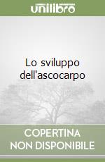 Cappelli Marco