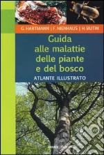 Hartmann Gnter; Nienhaus Franz; Butin Heinz; Pupillo P. (cur.)