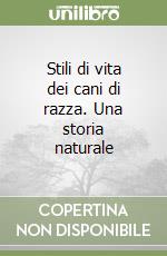 Lessona Michele