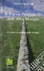 Sigismondi Antonio