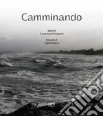 Semprini Anna Maria; Piegari D. (cur.)