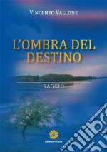 Vallone Vincenzo