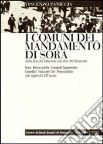 Paniccia Vincenzo; Pisani I. V. (cur.)