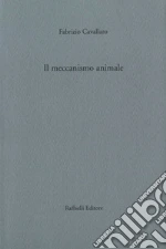 Cavallaro Fabrizio