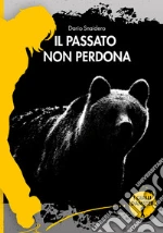Snaidero Dario