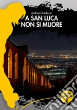 Gheduzzi Andrea
