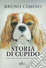 Cimino Bruno