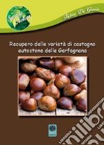 Di Gioia Fabio