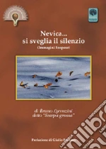 Scarpa Grossa