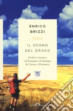 Brizzi Enrico