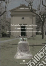 Vezzoni Giuseppe; Verona P. (cur.)
