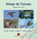 Cerbella Marco; Pagnotta Andrea; Nucciarelli Franco; Sarchini L. (cur.); Cacioppolini R. (cur.)