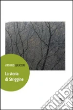 Lucaccini Vittorio