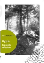 Andreoletti Luigi