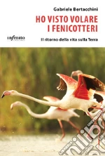 Bertacchini Gabriele
