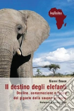Bauce Gianni