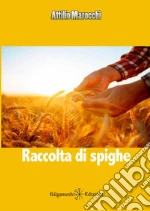 Marocchi Attilio
