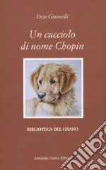 Giannelli Enzo