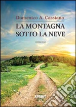 Cassiano Domenico Antonio