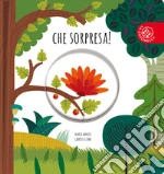 Baruzzi Agnese; Clima Gabriele