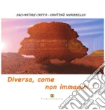 Caffo Salvatore; Mirabella Santino