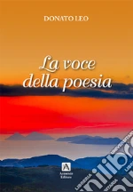 Donato Leo