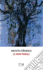 Stanescu Nichita