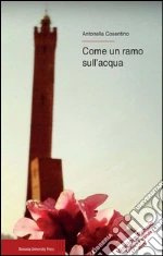 Cosentino Antonella