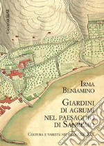 Beniamino Irma