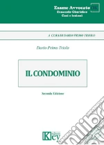 Triolo Dario Primo