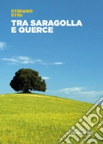Stisi Stefano