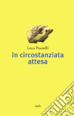 Pisanelli Luca
