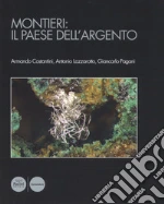 Costantini Armando; Lazzarotto Antonio; Pagani Giancarlo