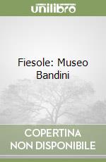 Bandera Viani M. Cristina