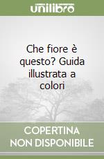 Aichele Dietmar; Golte-Bechtle Marianne; Pandolfi M. (cur.)