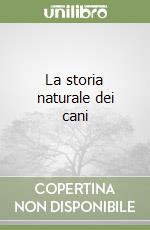 Lessona Michele