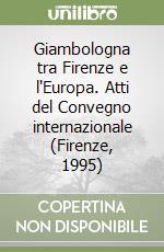 Istituto universitario olandese di Firenze (cur.)