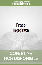 Sebregondi Fiorentini Ludovica; Viti Paolo; Zaccaria Raffaella M.