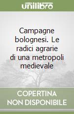 Pini Antonio I.
